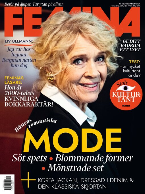 Cover image for Femina SE